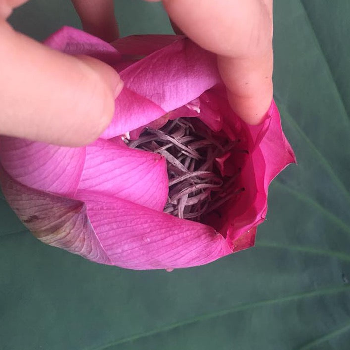 Lotus Flower Shan Tuyet Green Tea